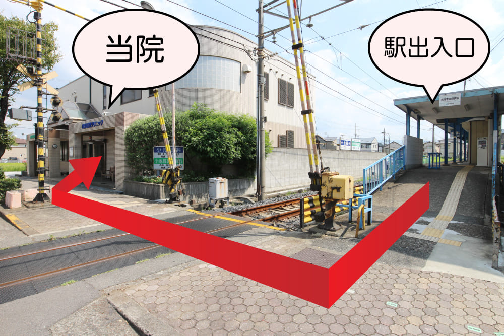 公式案内画像