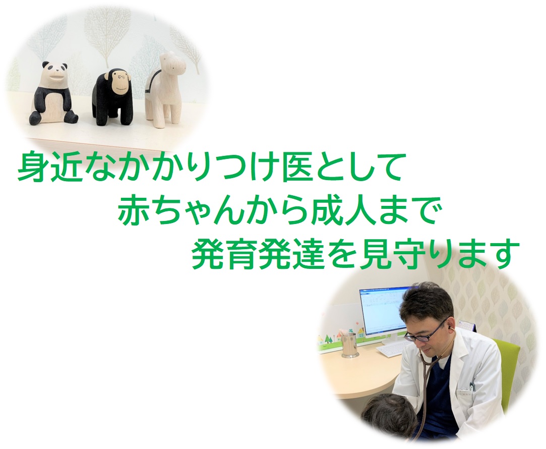 公式案内画像