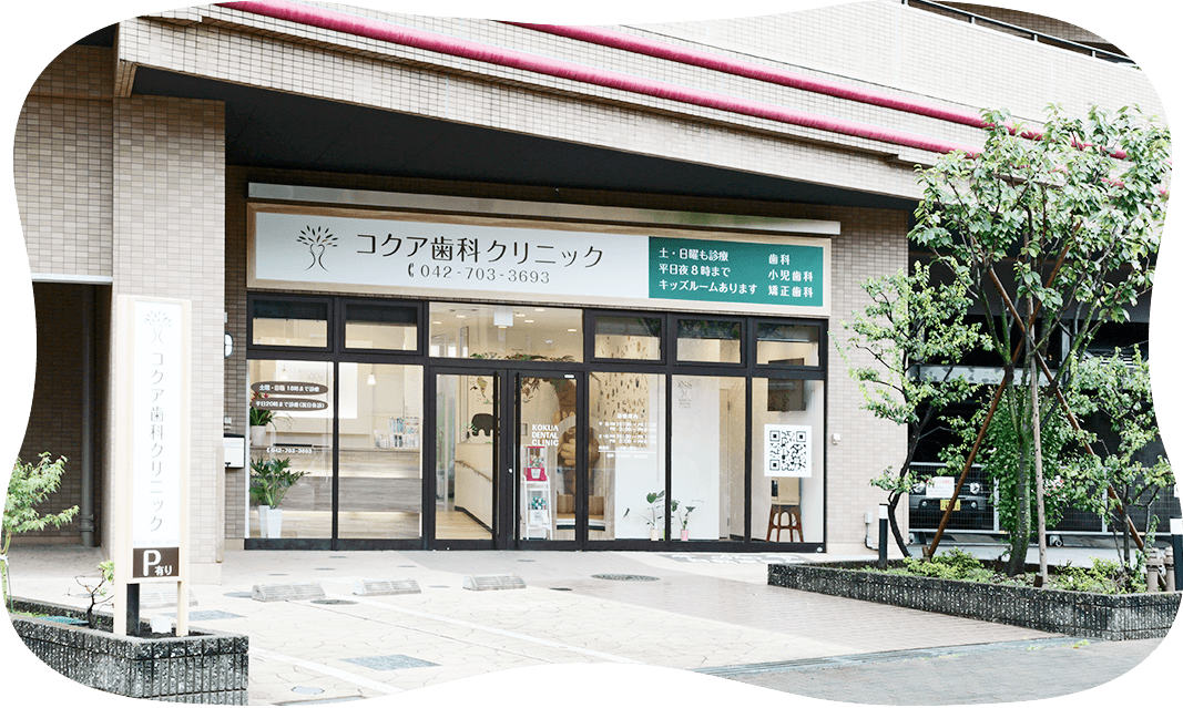 公式案内画像