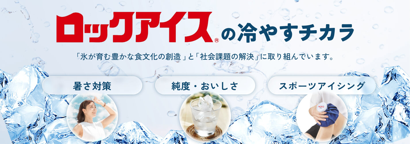 公式案内画像