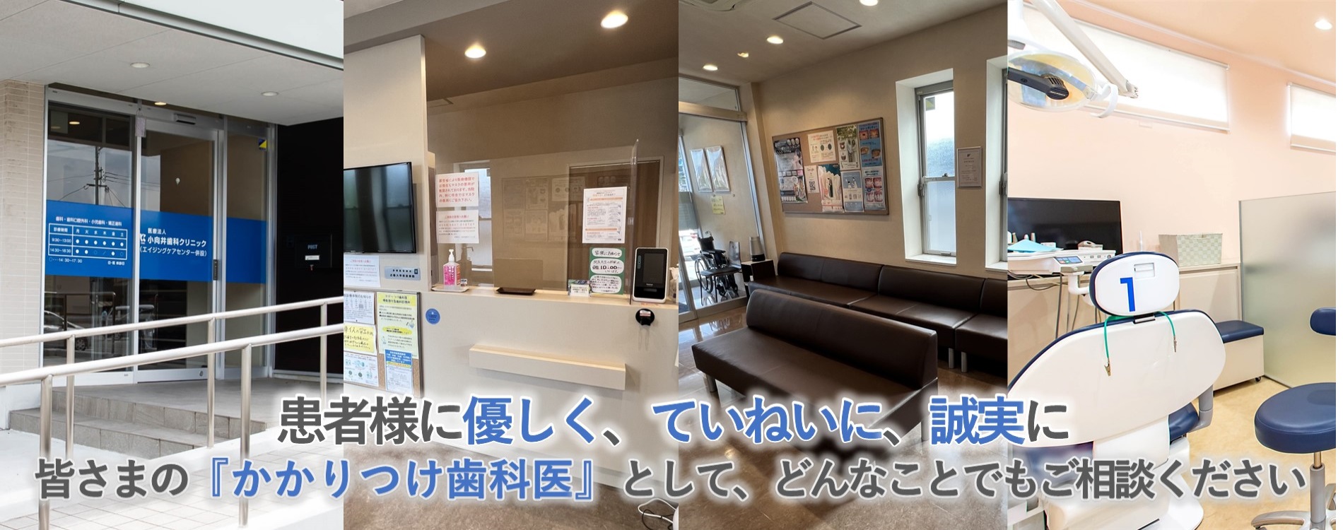 公式案内画像