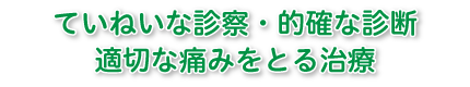 公式案内画像
