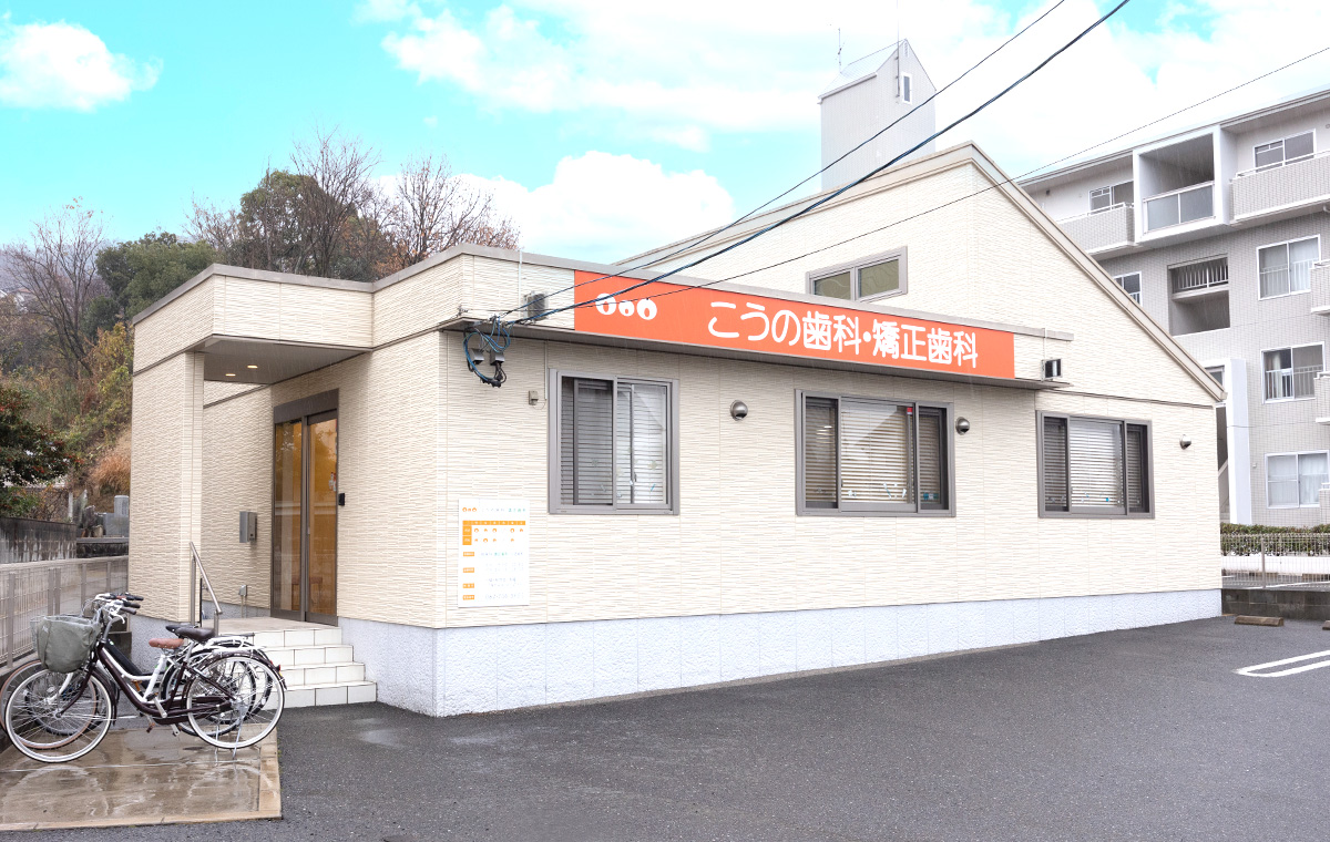 公式案内画像