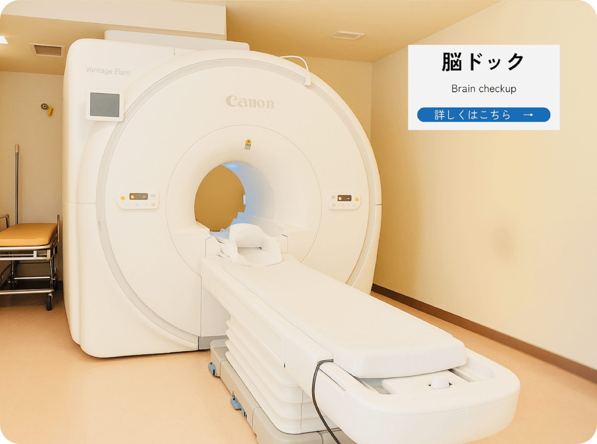 公式案内画像