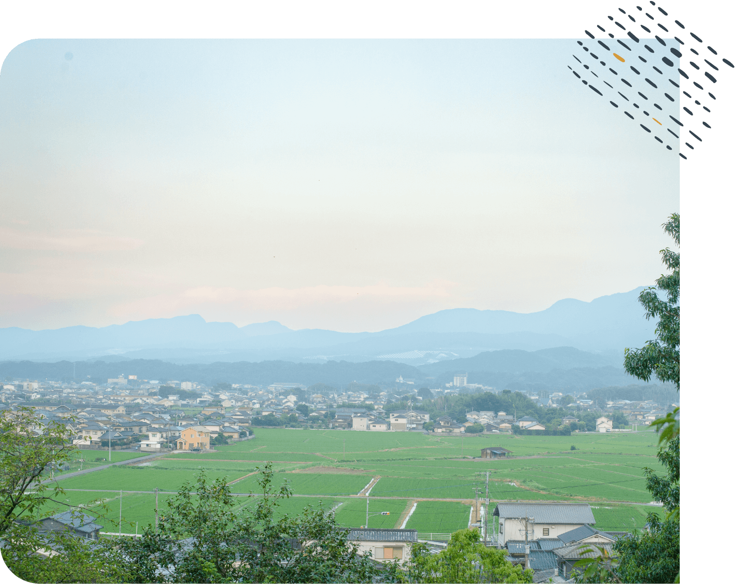 公式案内画像