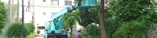 造園工事