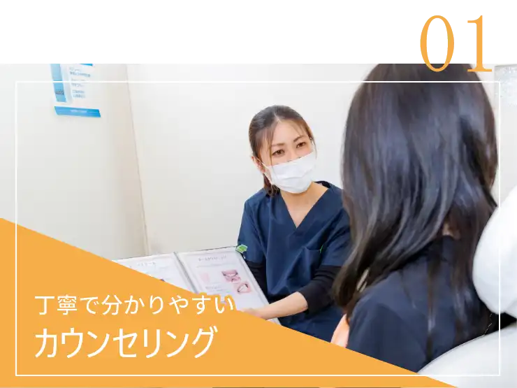 公式案内画像