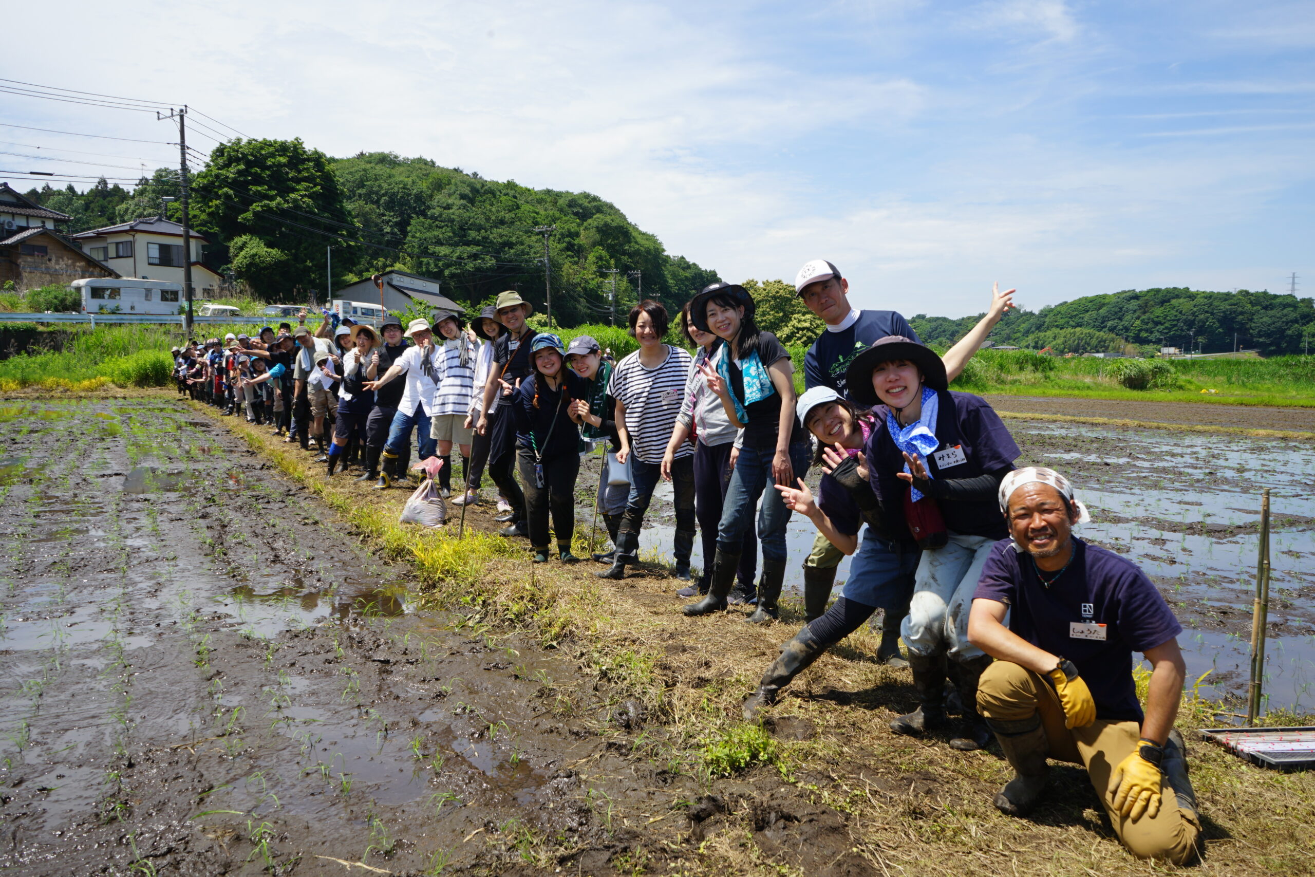 公式酒米プロジェクトに掲載された、田んぼで活動する参加者の写真