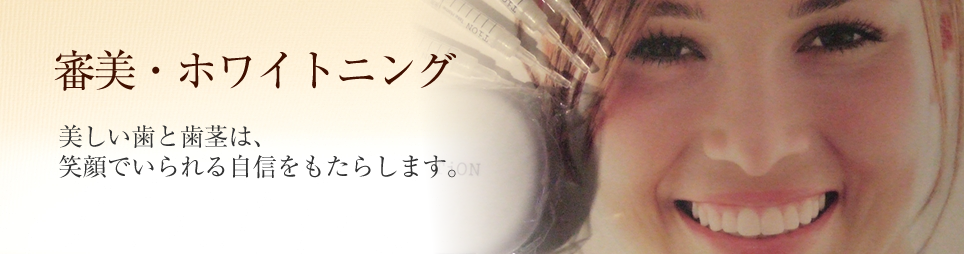 公式案内画像
