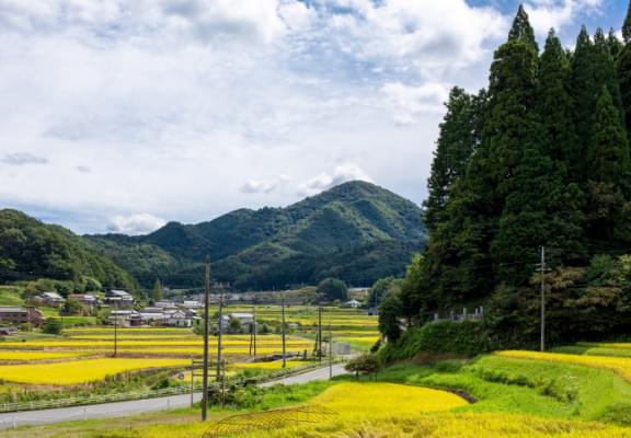 公式酒造りページに掲載された都祁の田と山の景観