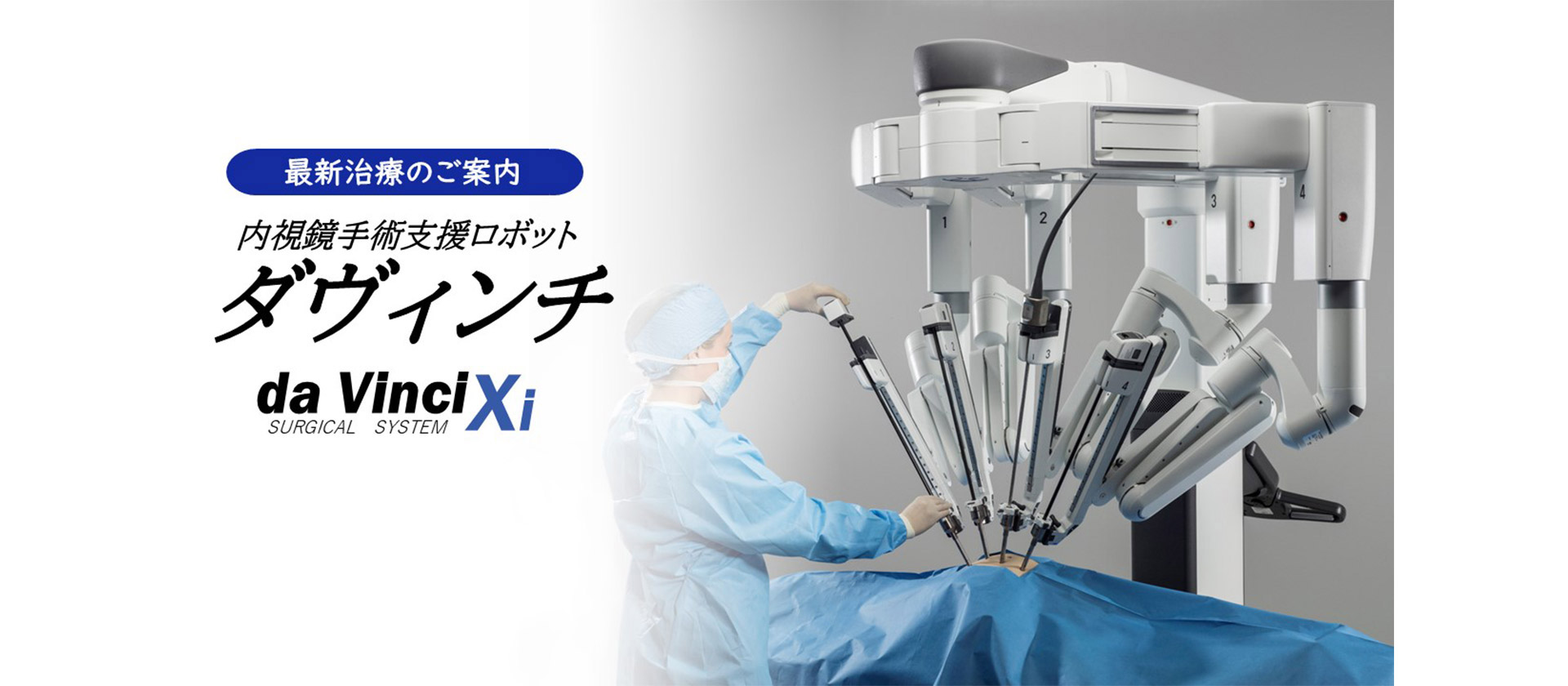 公式案内画像