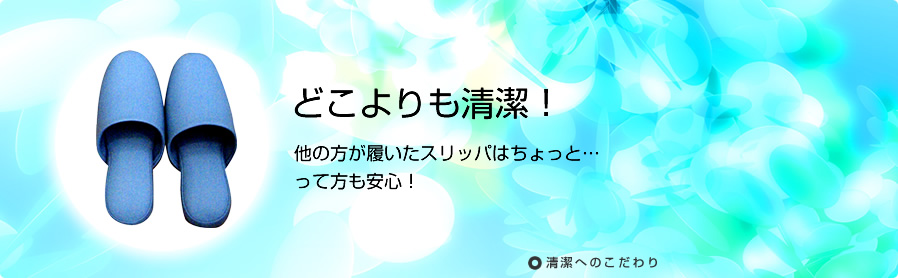 公式案内画像