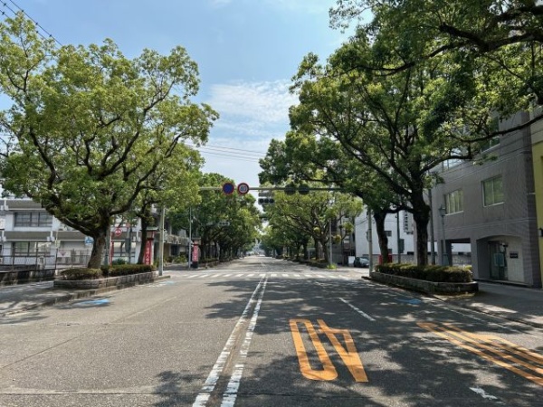 公式案内画像