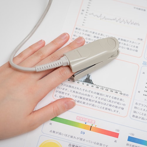 公式案内画像