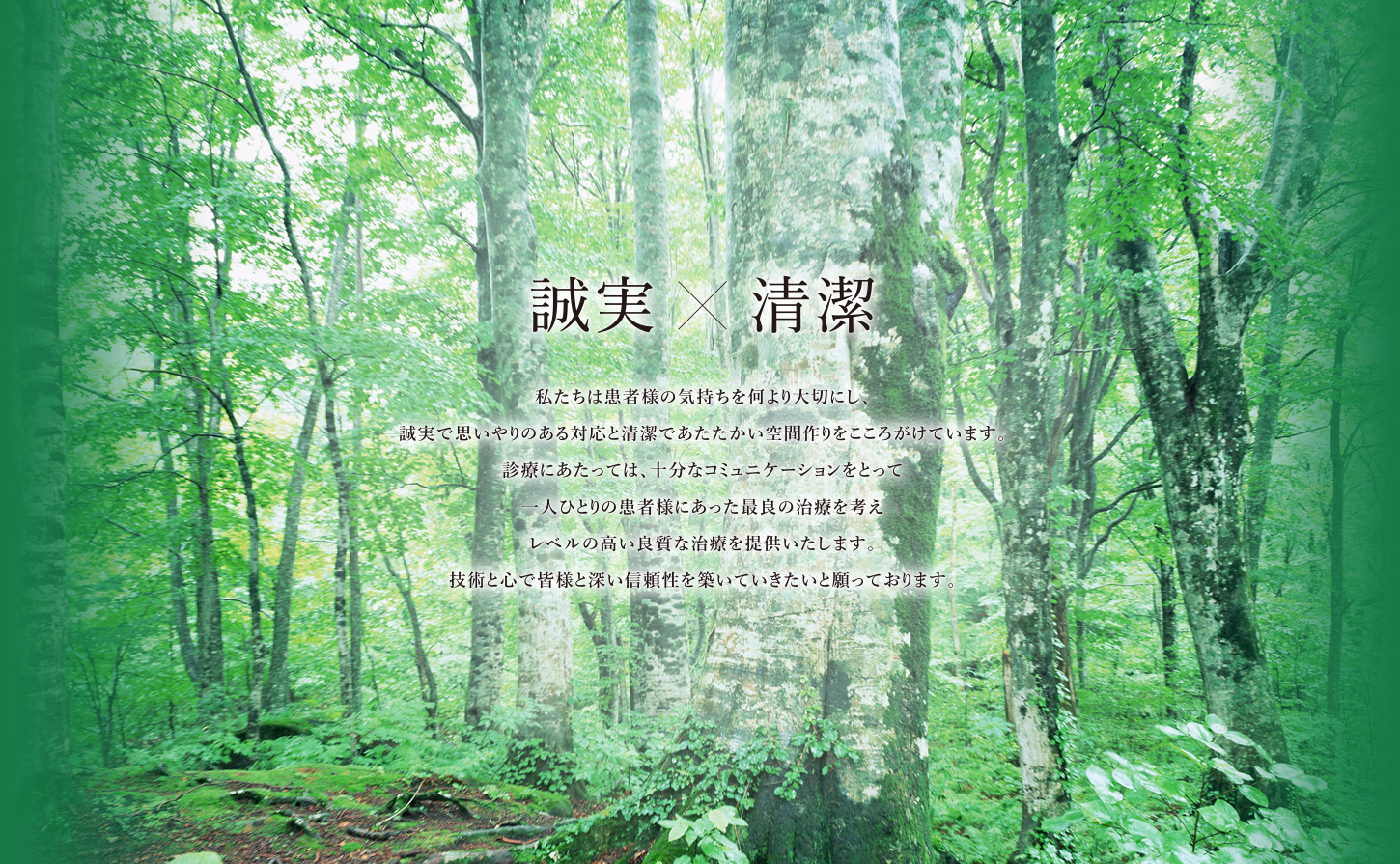 医 くさなぎ歯科クリニック の写真