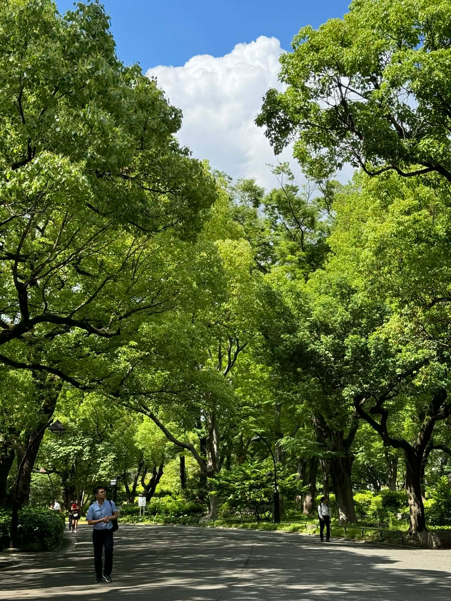 公式案内画像