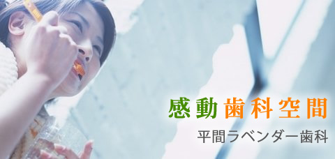 公式案内画像