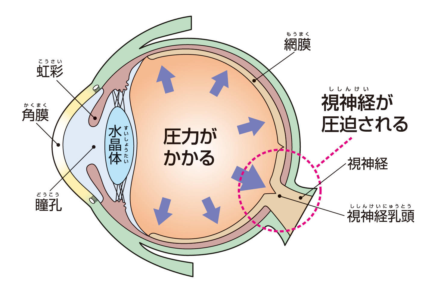 公式案内画像