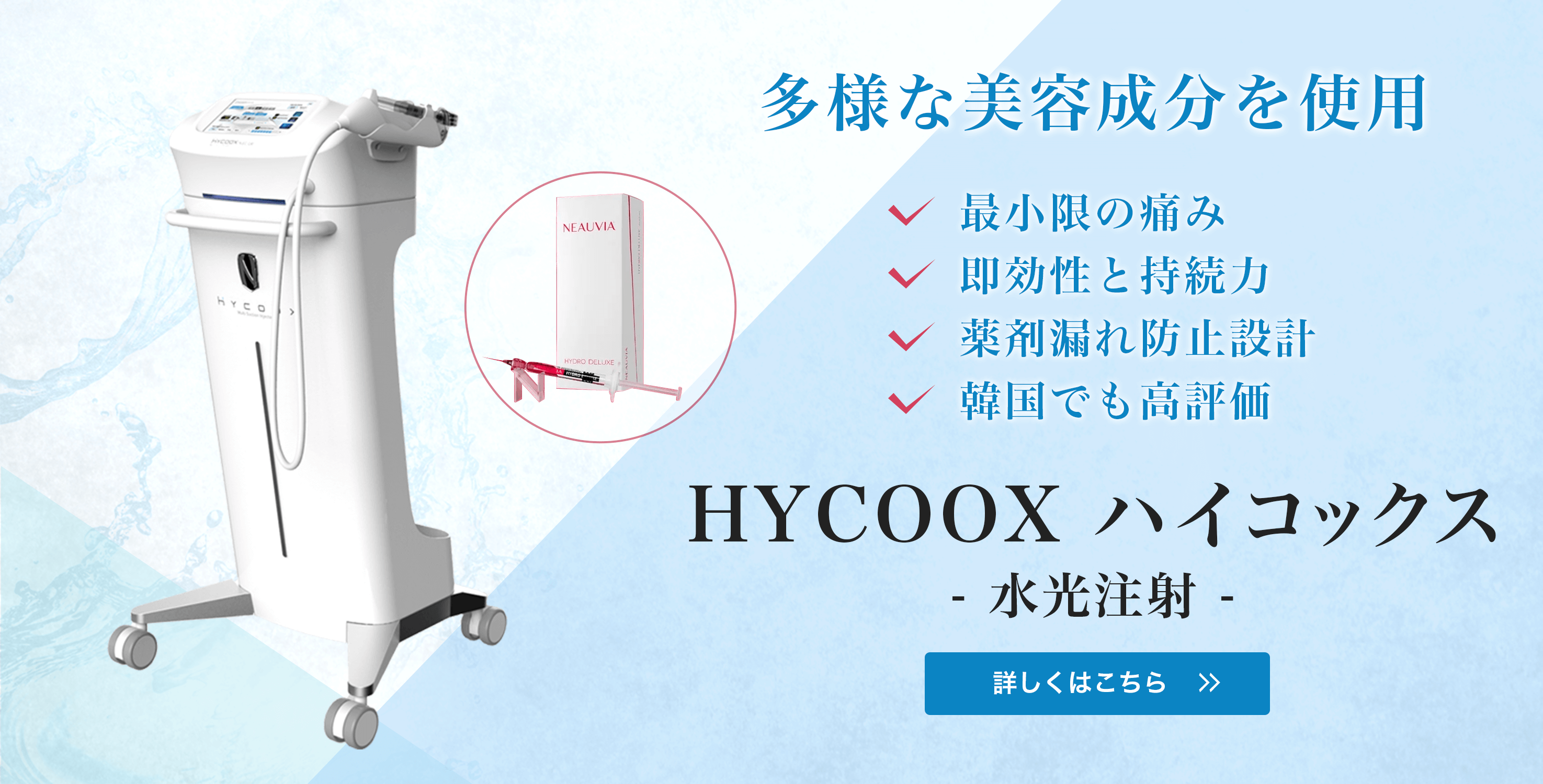 公式案内画像