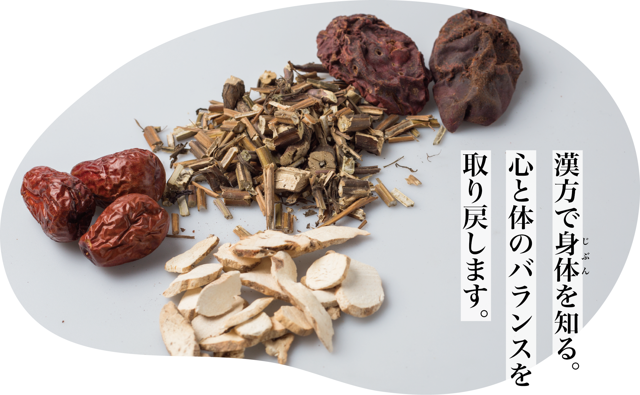有限会社 マギヤ薬局 の写真