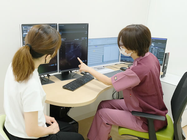 公式案内画像
