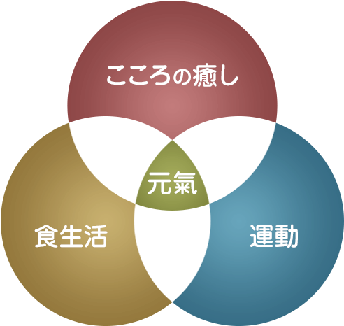 公式案内画像