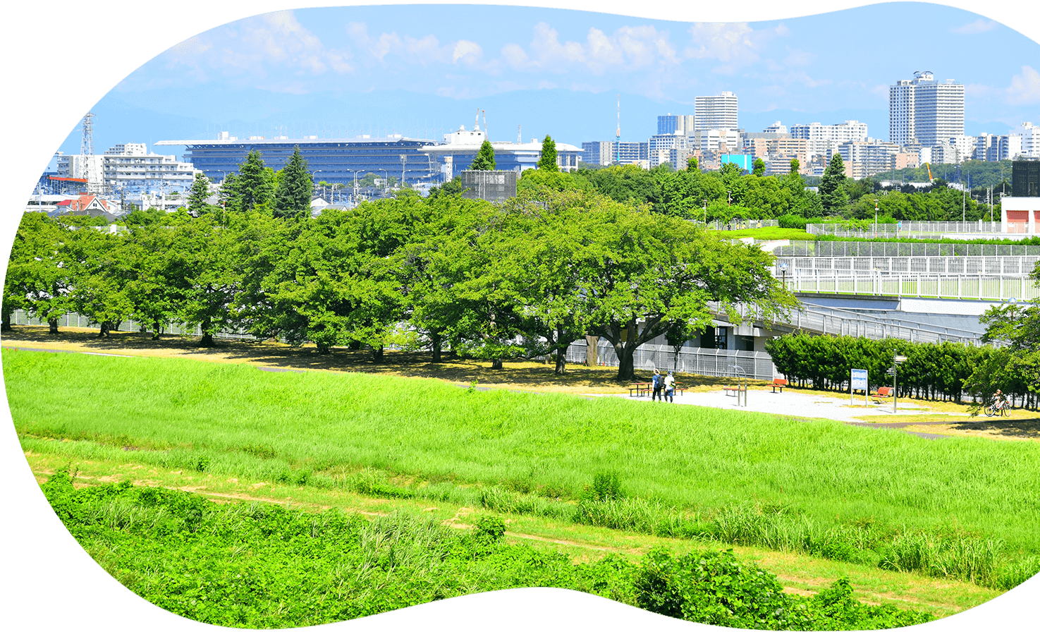 まな訪問看護リハビリステーション の写真