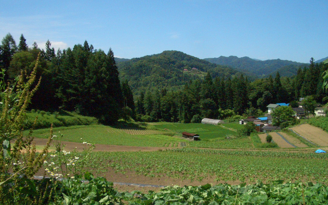 山あいに広がる大豆畑と集落の景観