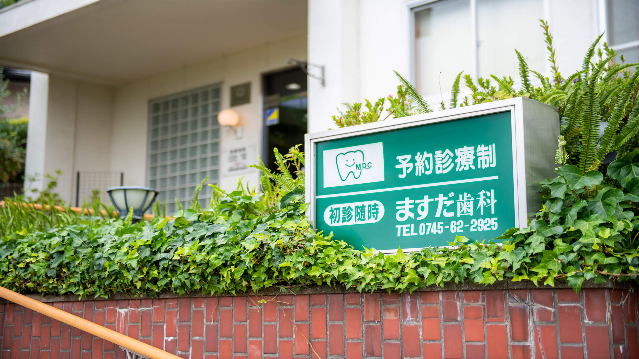 公式案内画像