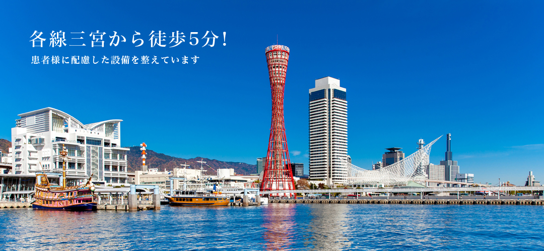 公式案内画像