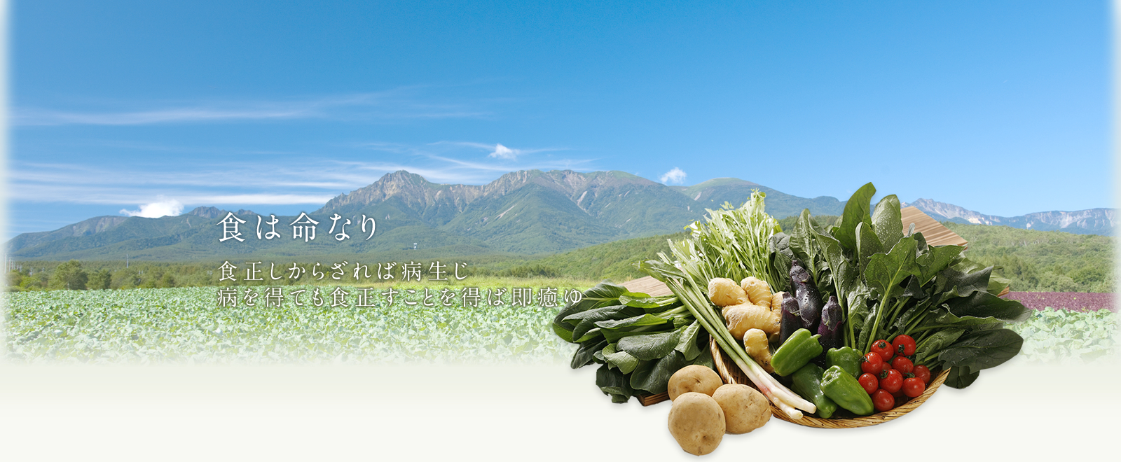 公式案内画像