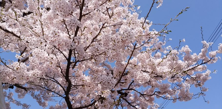 松尾歯科医院 の写真