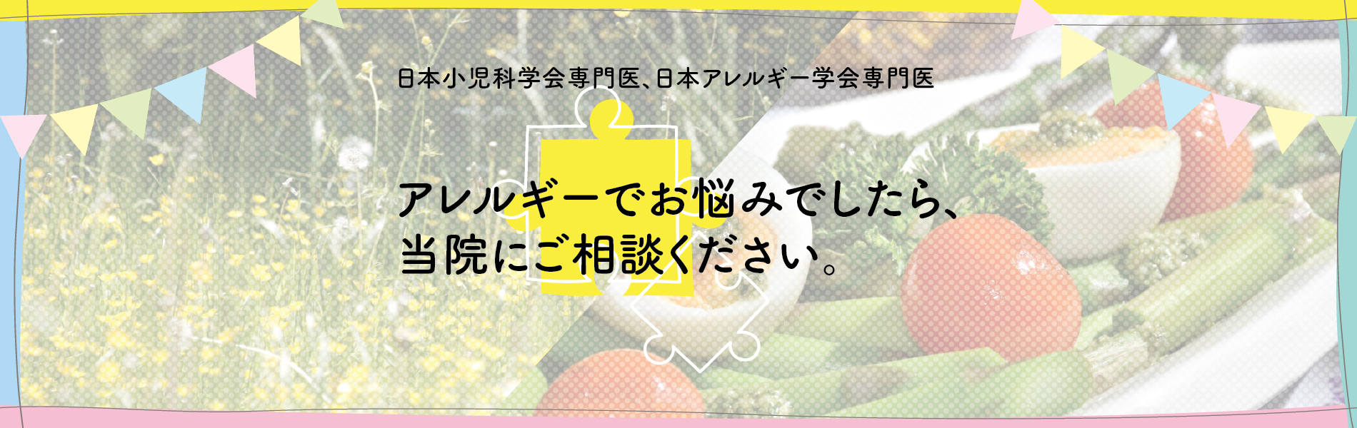 公式案内画像