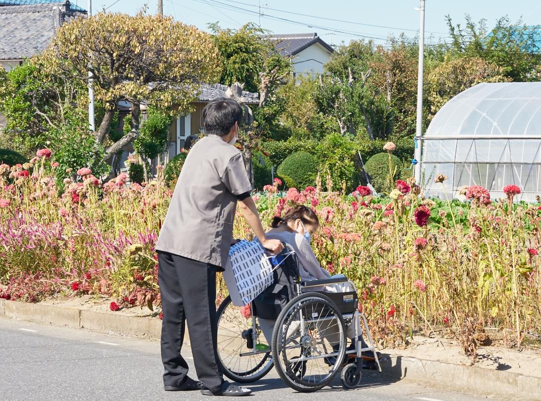 公式案内画像