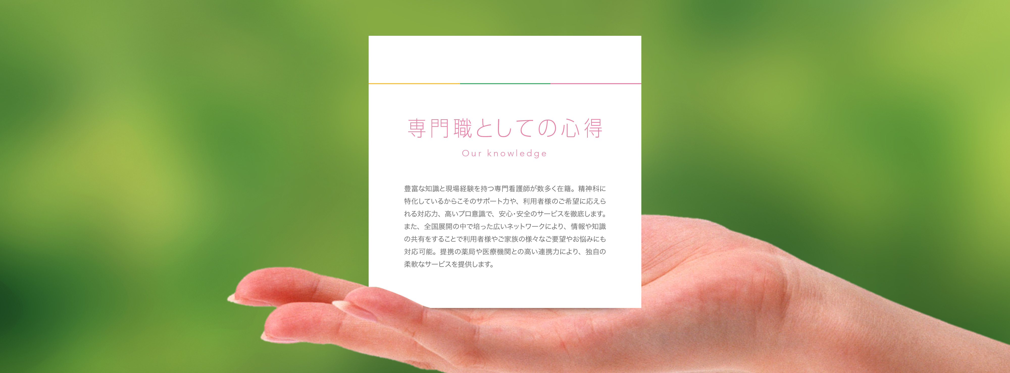 公式案内画像