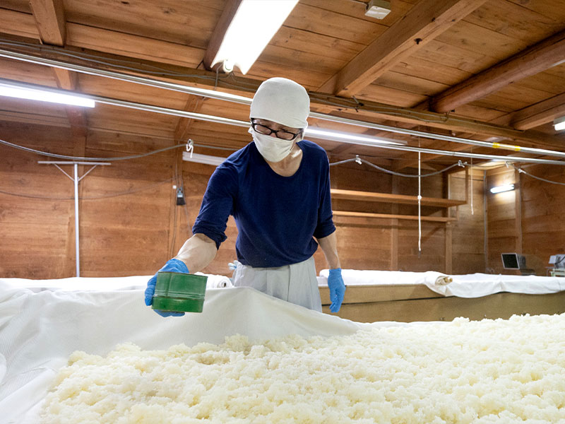 酒造りの現場で酒母を手入れするスタッフ