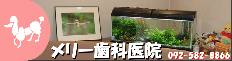 メリー歯科医院 の写真