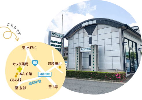 公式案内画像