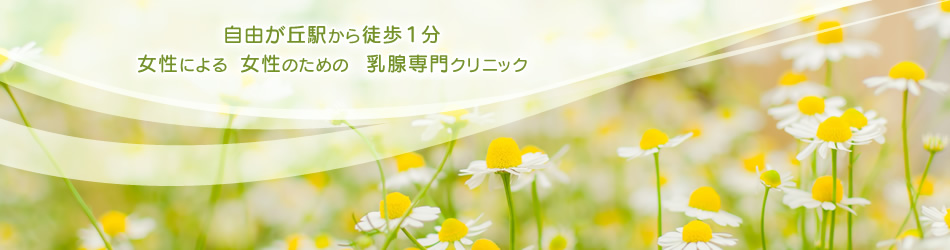 自由が丘みきブレストクリニック の写真