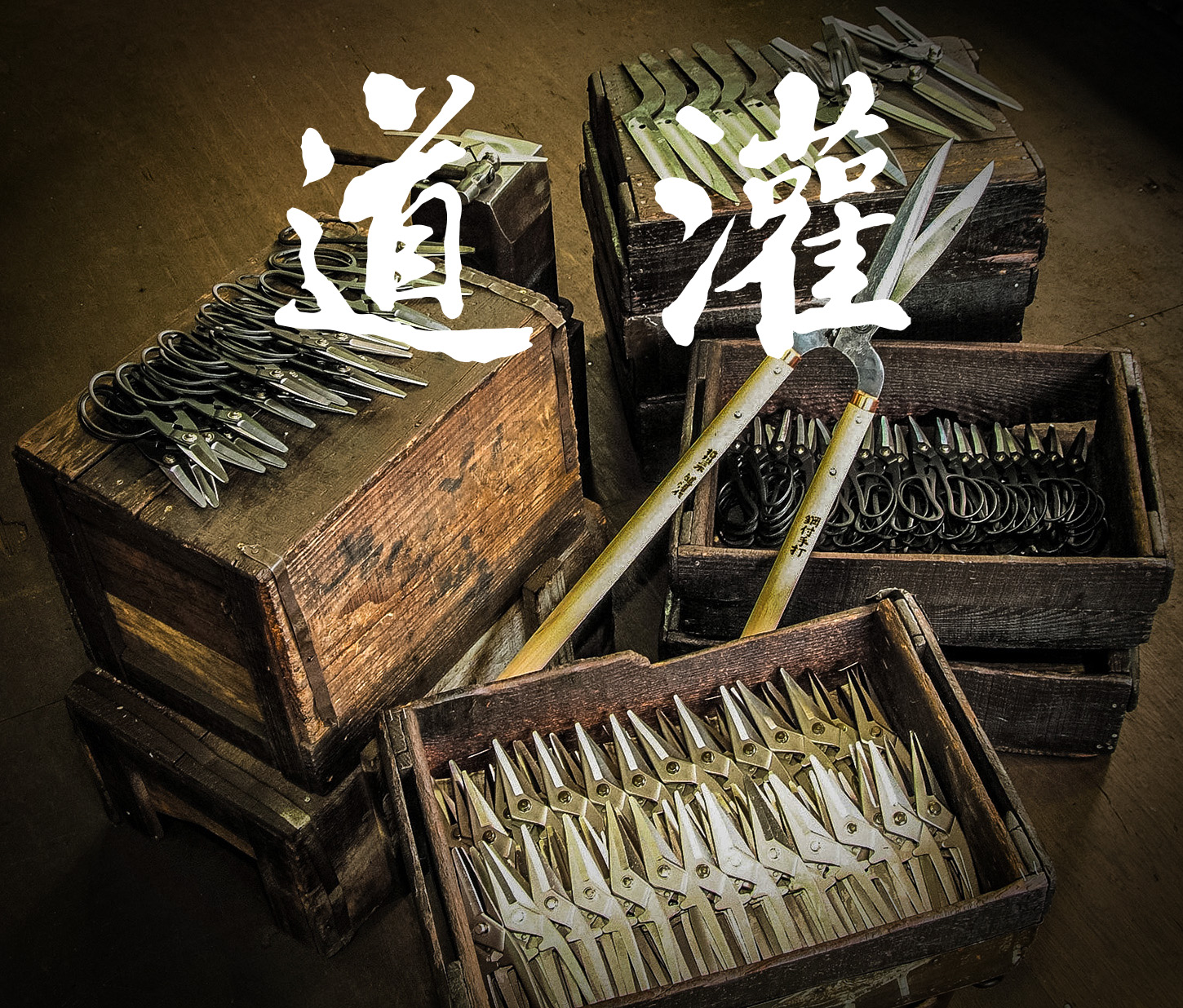 公式案内画像