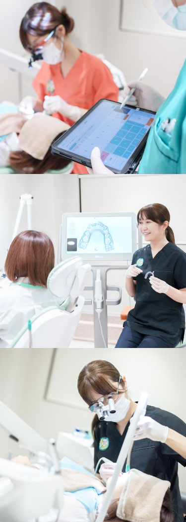 公式案内画像