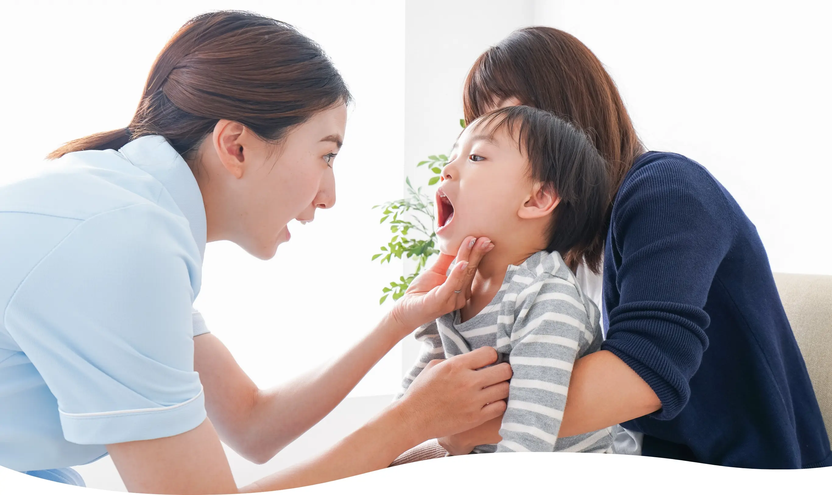 公式案内画像