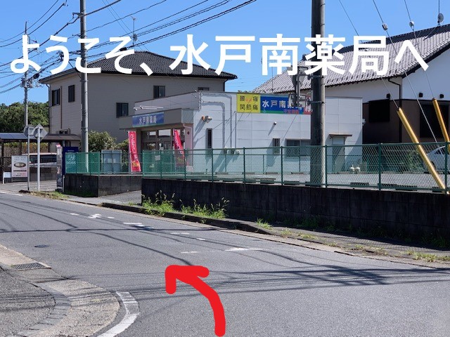 公式案内画像