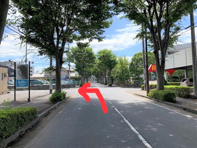 公式案内画像