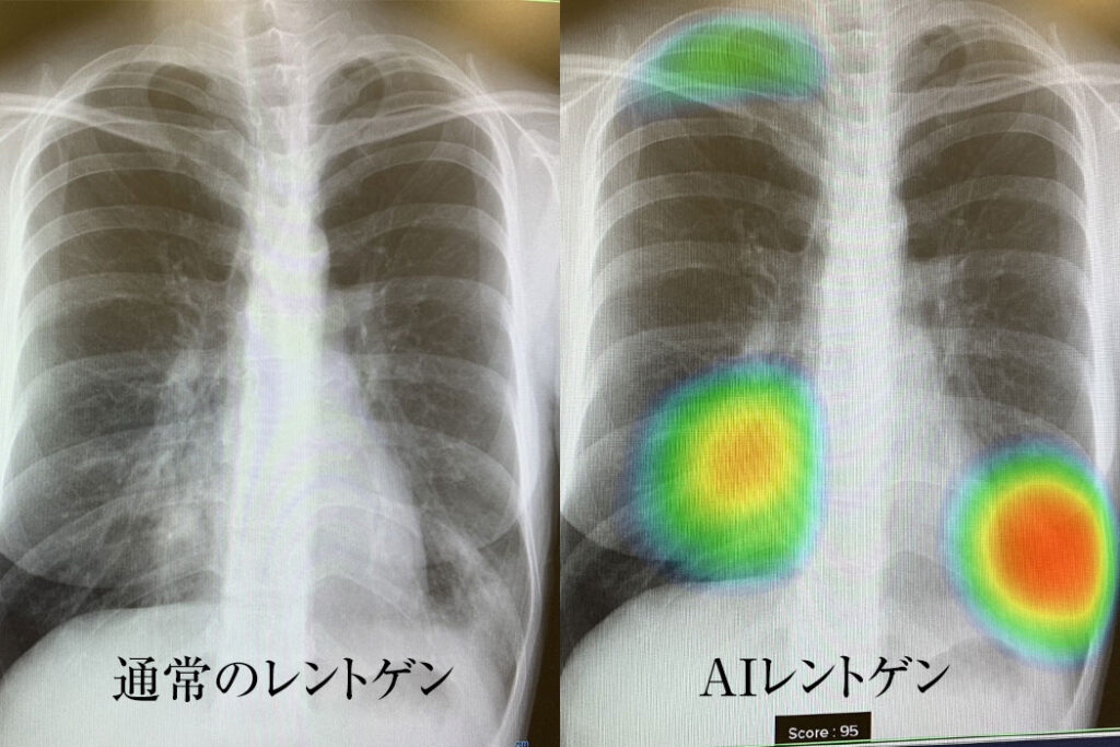 公式案内画像