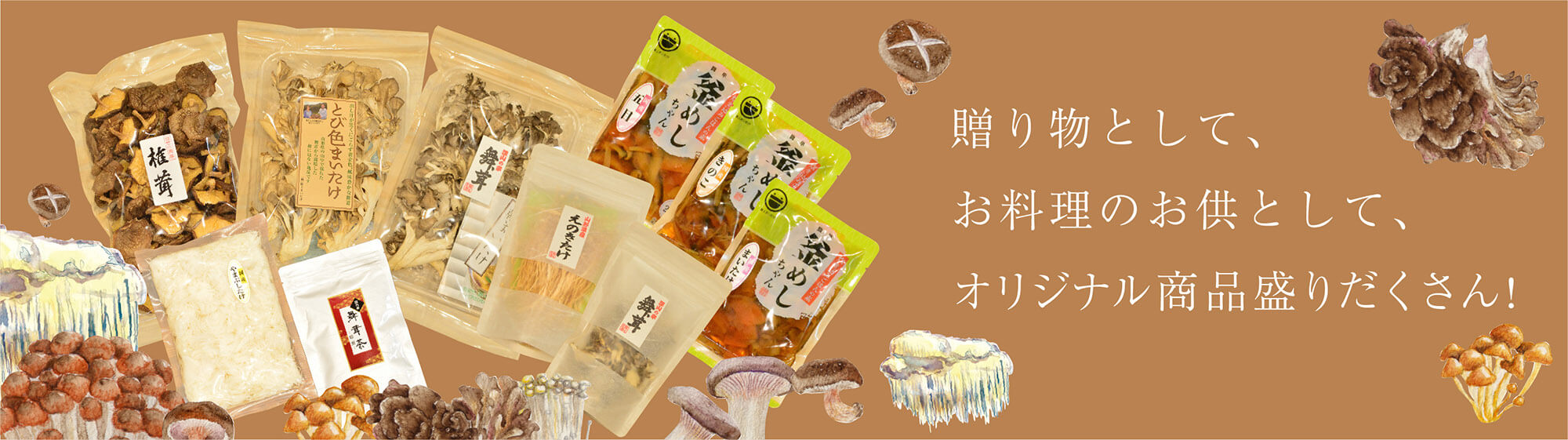 公式案内画像