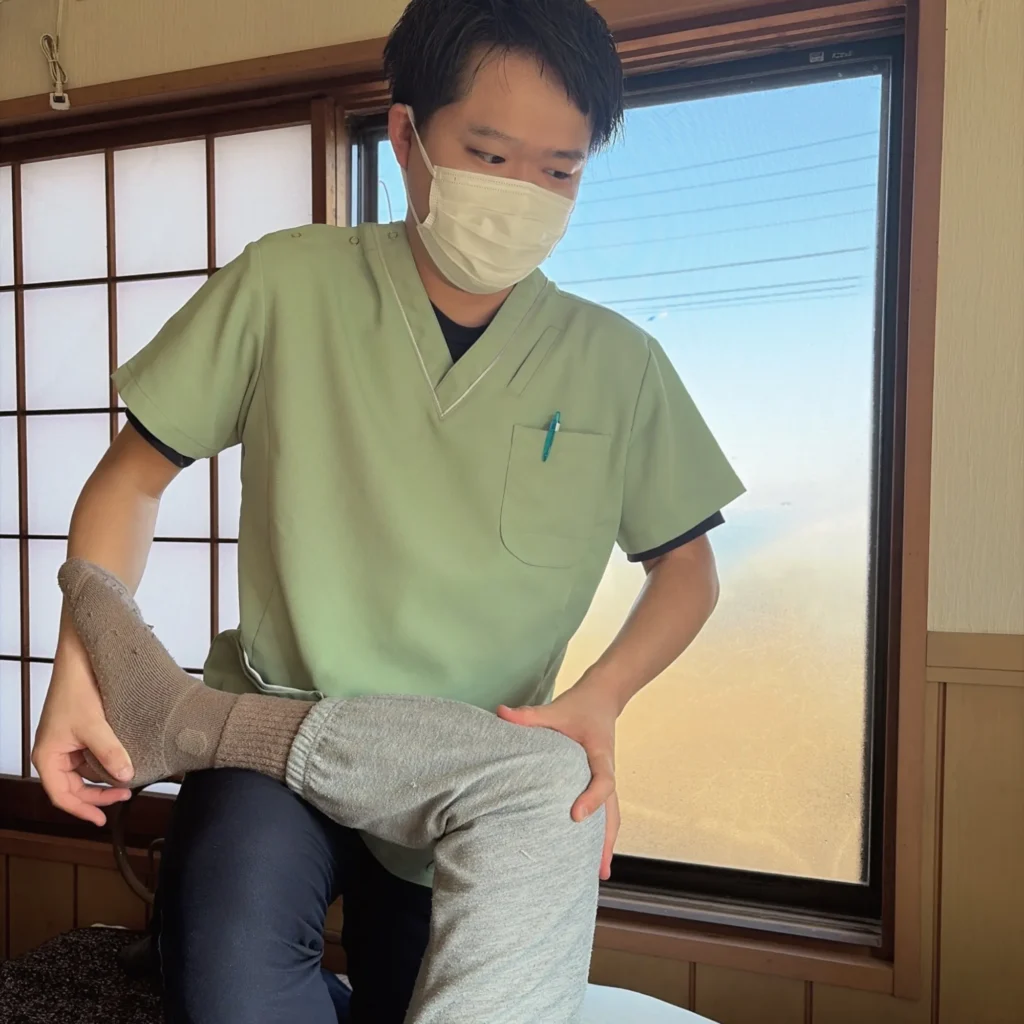 公式案内画像
