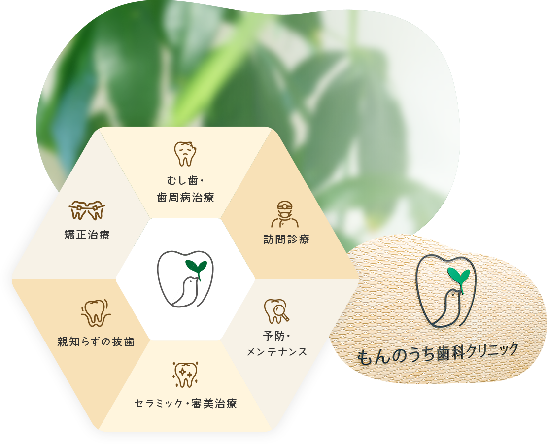公式案内画像