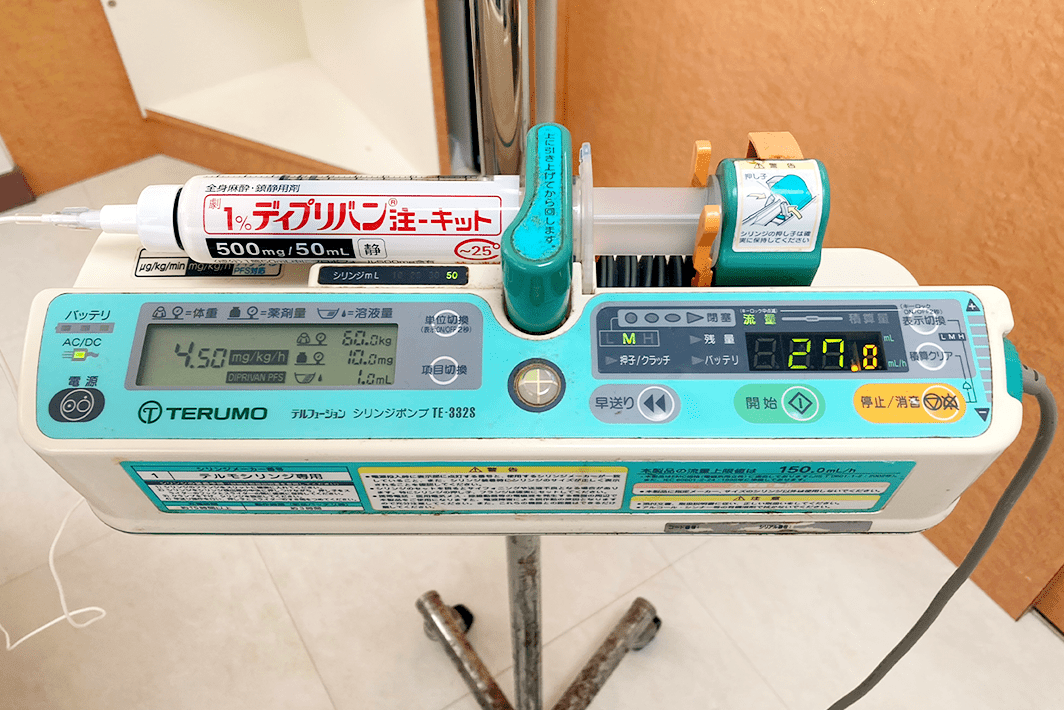 公式案内画像