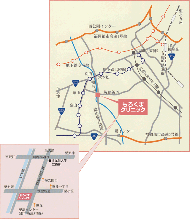 公式案内画像